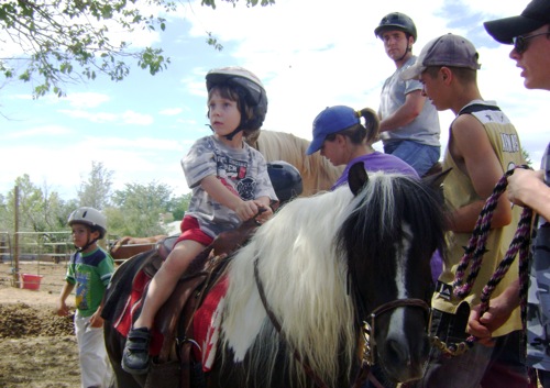 Young Rider